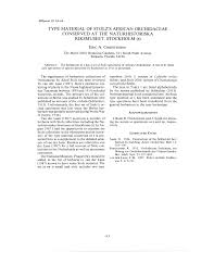 Image result for Schizochilus sulphureus