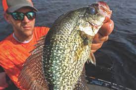 These north carolina fishing, lakes and ponds includes northers, eastern, western and southern lakes from small metro pods to large lakes that are great fro fresh water fishing. Fall Fishing In North Carolina Best Spots To Get Bit