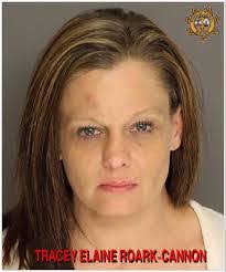 Elaine Roark's Instagram, Twitter & Facebook