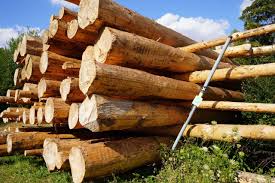 Das hotel haus recke ist ruhig gelegen in balve und bietet einen garten, eine terrasse sowie kostenfreies wlan. Hotel Haus Recke Balve Aktualisierte Preise Fur 2021