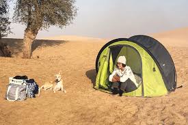 Shop camping world for all of your rv and camping needs! Going Camping In The Desert Check Out Our Cool Guide