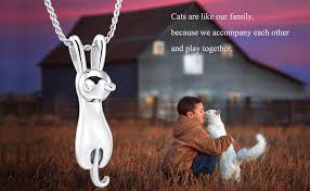 We did not find results for: Amazon Com Imrsanl Pet Cremation Jewelry For Ashes Memorial Ash Jewelry Keepsake Cat Urn Pendants For Animal Ashes Necklace Black Clothing