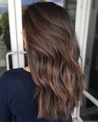 Dynamic Matte Brown Highlights Chocolate Brown Hair Light Chocolate Brown Hair Brown Hair Colors