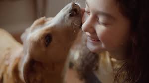 For the love of Alex Inc. Fundraising Case Study