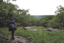 Of castlewood's eight main hiking trails, the shorter jaunts like lone wolf trail are ideal for the less adventurous hiker. Best St Louis Area Hikes With Kids Terrain Magazine