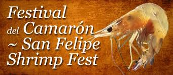 San Felipe Shrimp Festival Discover Baja Travel Club