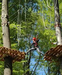 Kletterwald Osnabruck Teammotion Klettern Kletterpark Wald