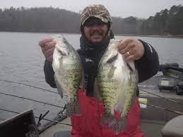On colder days, they may move to very shallow water. Friday Fishing Report For Alabama Al Com