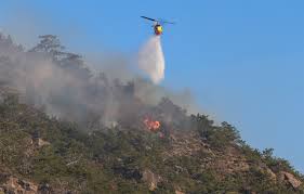 Φωτιά στο Νεοχώρι Μεσσηνίας – Σηκώθηκαν 7 αεροσκάφη και 3 ελικόπτερα -  Newsbeast