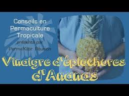 Comment Faire Du Vinaigre D Ananas Recette Zero Dechet Youtube Ananas Vinaigre Epluchures
