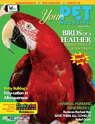 See more of city of rio rancho animal resource center on facebook. Your Pet Magazine Featuring Birds Of A Feather Parrot Rescue Of New Mexico By Your Pet Magazine Issuu
