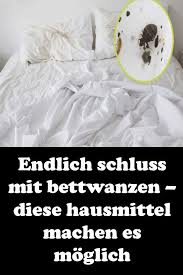 Endlich Schluss Mit Bettwanzen Diese Hausmittel Machen Es Moglich Bettwanzen Hausmittel Bett