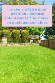 Epingle Sur Influenceimmo
