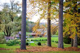 Restaurants near canyon kitchen at lonesome valley, cashiers on tripadvisor: Cashiers North Carolina Al Com