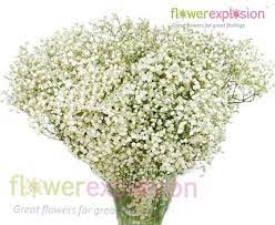 Mirabella Gypso Cheap Wedding Flowers Simple Wedding Flowers Orange Wedding Flowers