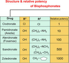 Image result for Bisphosphonates