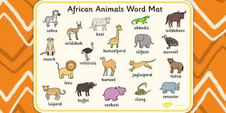 Animals Afrikaans Preschool Activities African Animals Afrikaans