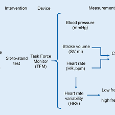 8 Flow Chart Showing Measured Hemodynamic Parameters And