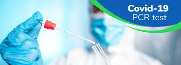 Maybe you would like to learn more about one of these? Covid 19 Pcr Test Fit For Travel Lewis Grove Pharmacy