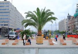 Katowice to bez dwóch zdań największy, a zarazem najdroższy, rynek nieruchomości na śląsku, oferujący obszerną bazę mieszkań, dostępnych w. Katowice Rynek Palmy Tvs Pl