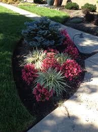 Pink Wax Begonias Annuals In Landscape Beautiful Flowers Garden Front Garden Landscape Pretty Plants