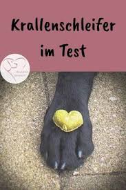 Krallen Pflegen Leicht Gemacht Herzenshund Kerngesund Hunde Agility Hund Hunde Ernahrung