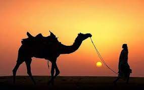 Doa Untuk Orang Sakit Supaya Cepat Sembuh Dari Penyakit Izzulislam Dunia Binatang Doa