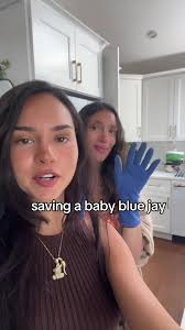 Girl Brings Blue Jay Home