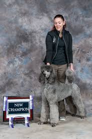 Image result for Pearsonia