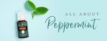 Every day, thousands of voices read, write, and share important stories on medium about young living. How To Use Peppermint Essential Oil Young Living Blog
