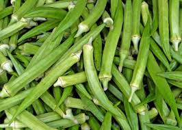 Image result for Abelmoschus esculentus