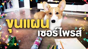 Bie the ska total video views count stats. à¸‚ à¸™à¹à¸œà¸™à¹€à¸‹à¸­à¸£ à¹„à¸žà¸£à¸ª Youtube