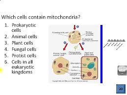 It's one of the most important parts. Cell Structure And Function Eukaryotic Cell Structure What