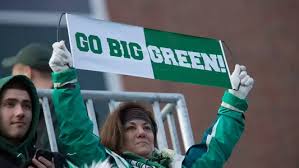 Image result for Granite Green 2016 Vito