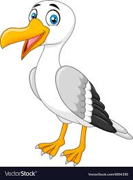 Cartoon Seagull Posing Isolated Vector Image On Vectorstock Cartoon Clip Art Pictures To Draw Animal Drawings