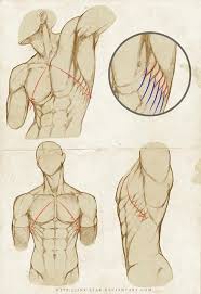 Karakalem Anatomi Model Cizimleri Konya Resim Kursu Arte De Anatomia Humana Arte De Anatomia Dibujo Anatomia Humana