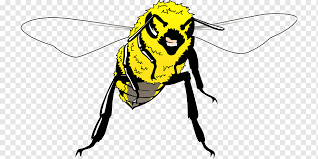 Epal wikipedia bahasa melayu ensiklopedia bebas. Lebah Lebah Madu Gambar Cdr Logo Serangga Kuning Penyerbuk Lebah Hitam Dan Putih Cdr Png Pngwing