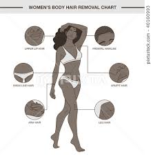 Infographic With Womens Body Hair Removal Chart Stock