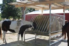 Diy Easy Horse Shelter Horse Shelter Horses Diy Horse Barn