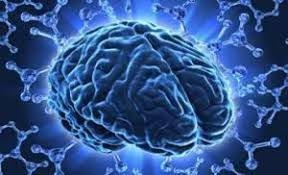 صورة عقل مفكر بحث Google Memory Enhancer Cognitive Preventive Medicine