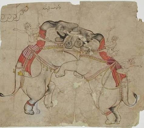For centuries, elephant fights have been both a symbol of royal grandeur and a subject of artistic fascination. In the courts of Indian maharajas, these battles were staged for celebrations like a