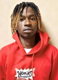 Suspect arrested in rash of break-ins