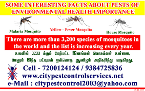 Latest customer reviewsof pest control services near saligramam. City Pest Control Services Citypestcontro4 Twitter