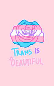 Check spelling or type a new query. Trans Pride Wallpapers Top Free Trans Pride Backgrounds Wallpaperaccess