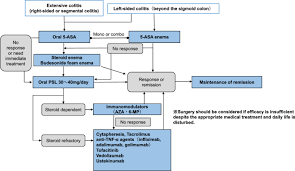 Here is our comparison table of the best hair loss shampoos. Evidence Based Clinical Practice Guidelines For Inflammatory Bowel Disease 2020 Springerlink