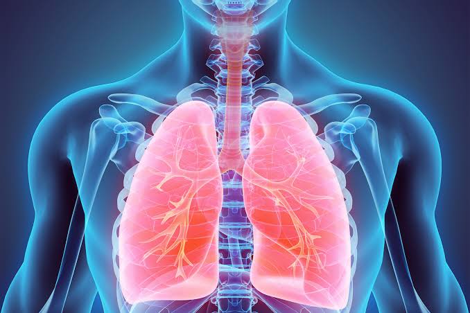 Early stage lung cancer may be detected from a drop of blood — Harvard  Gazette