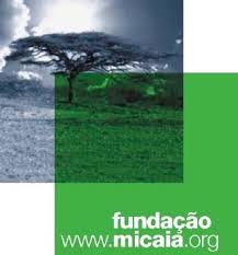 Image result for Sericanthe chimanimaniensis