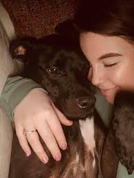 Black dog found at Lincoln with shot collar