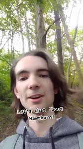 Trees among The Shrubs Meaning