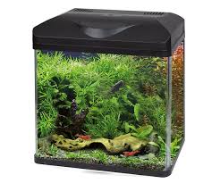 Vendita online di acquari da 10 fino a 50 litri. Vasche Per Acquari Piccoli Da 40 A 60 Litri Acquario Semplice